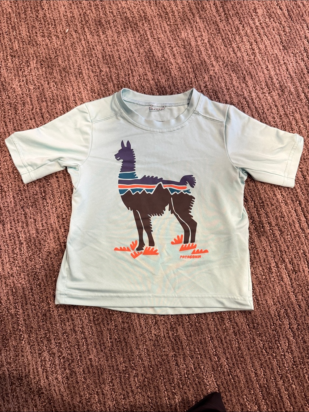 Patagonia Kids Light Aqua Tee with Multicolor Llama Graphic never worn silkweigh